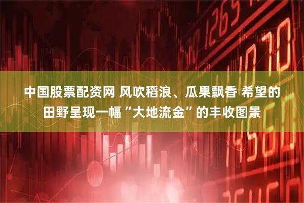 中国股票配资网 风吹稻浪、瓜果飘香&#32;希望的田野呈现一幅“大地流金”的丰收图景