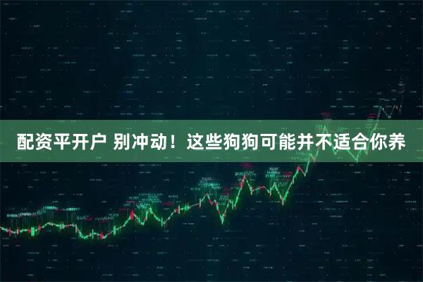 配资平开户 别冲动！这些狗狗可能并不适合你养