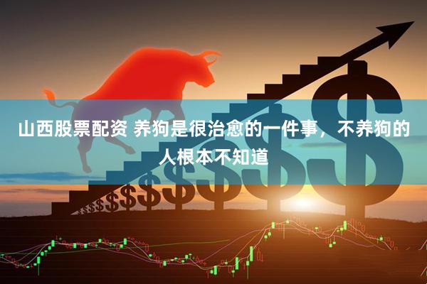 山西股票配资 养狗是很治愈的一件事，不养狗的人根本不知道