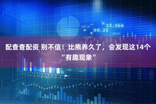 配查查配资 别不信！比熊养久了，会发现这14个“有趣现象”